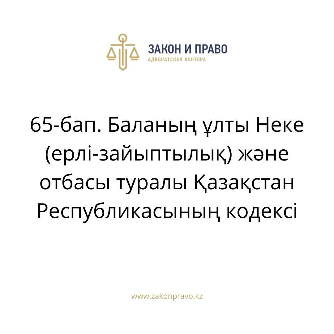 АMANAT партиясы және Заң және Құқық адвокаттық кеңсесінің серіктестігі аясында елге тегін заң көмегі көрсетілді